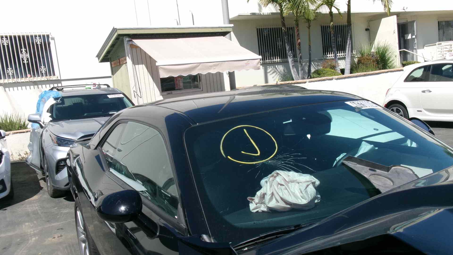 44730094