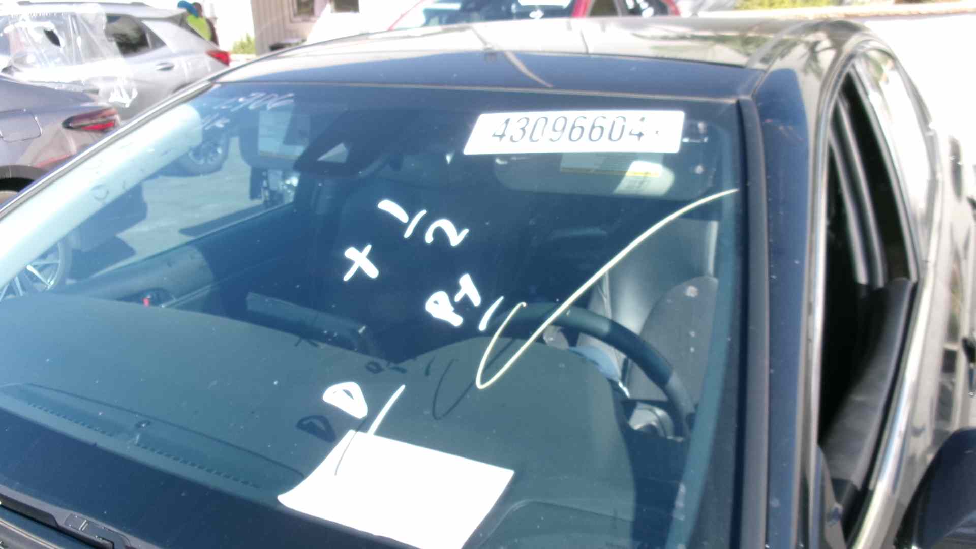 43096604