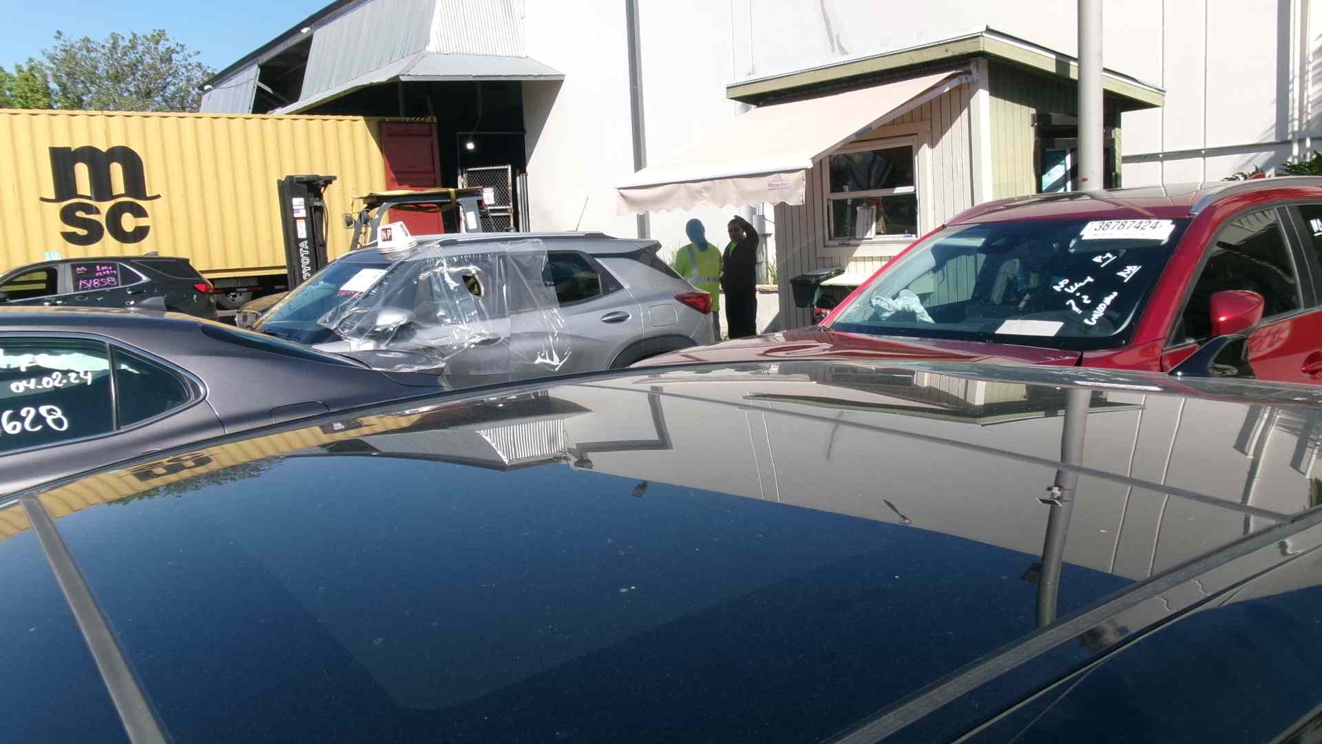 43096604