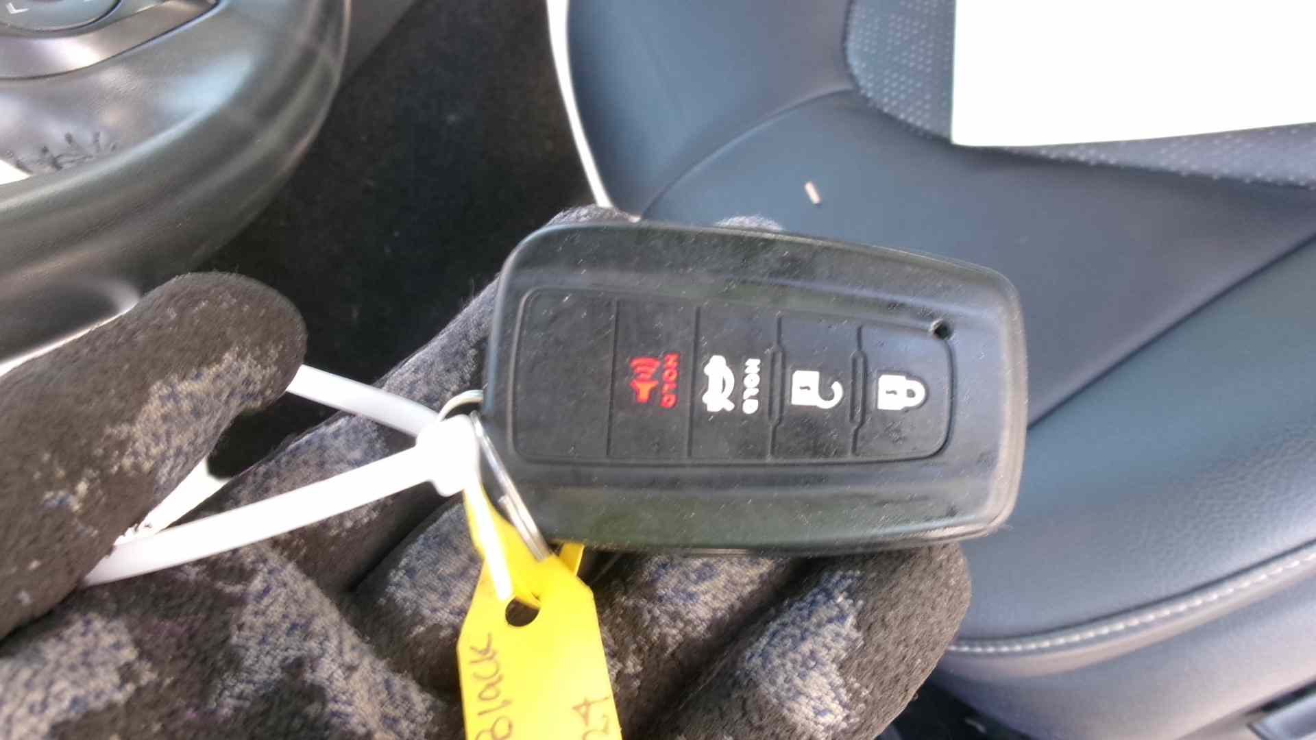 43096604