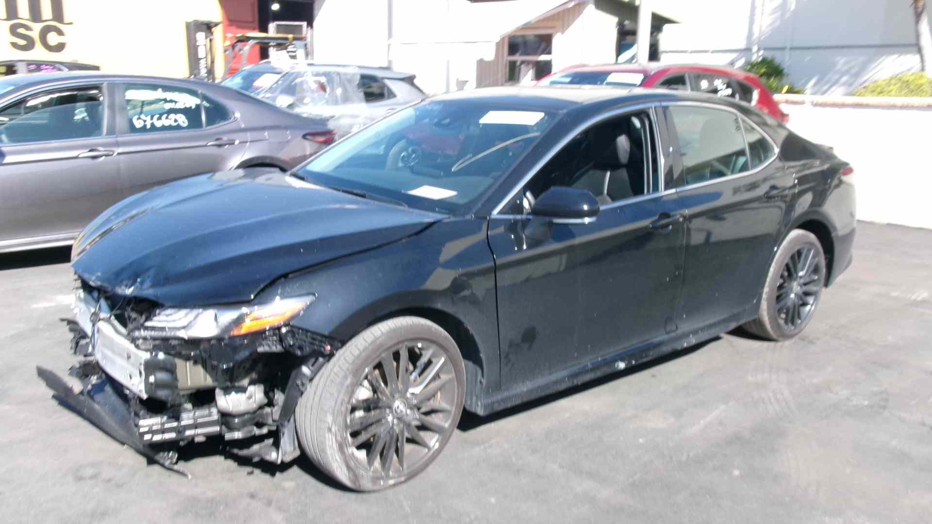 43096604