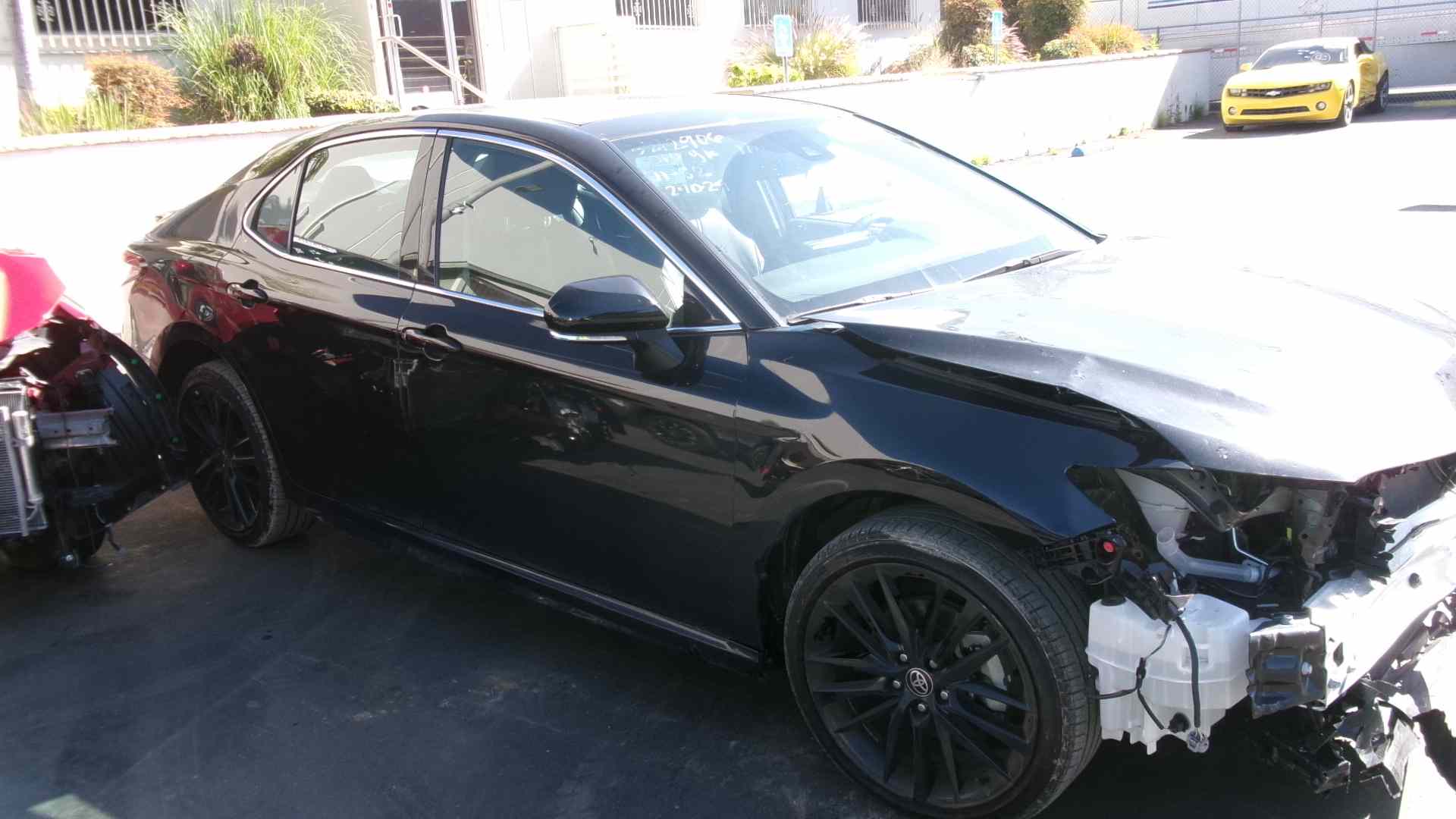 43096604