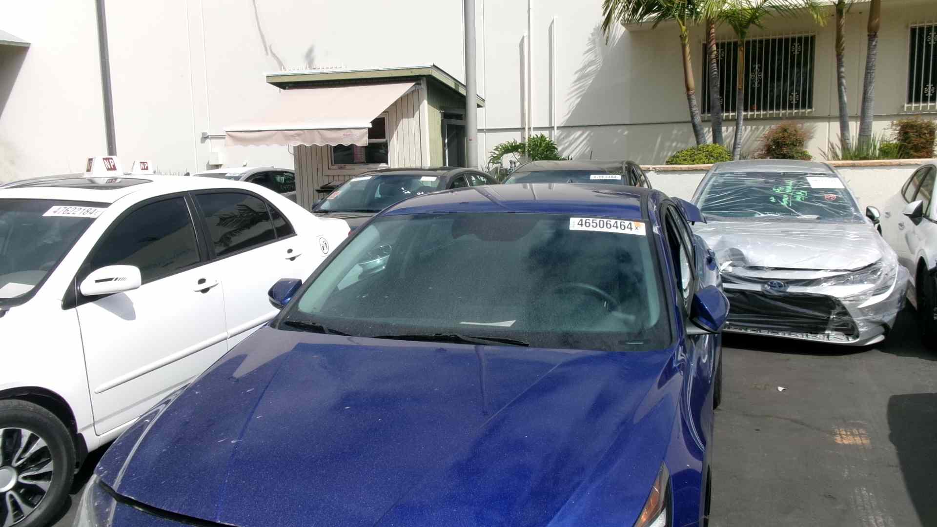 46506464