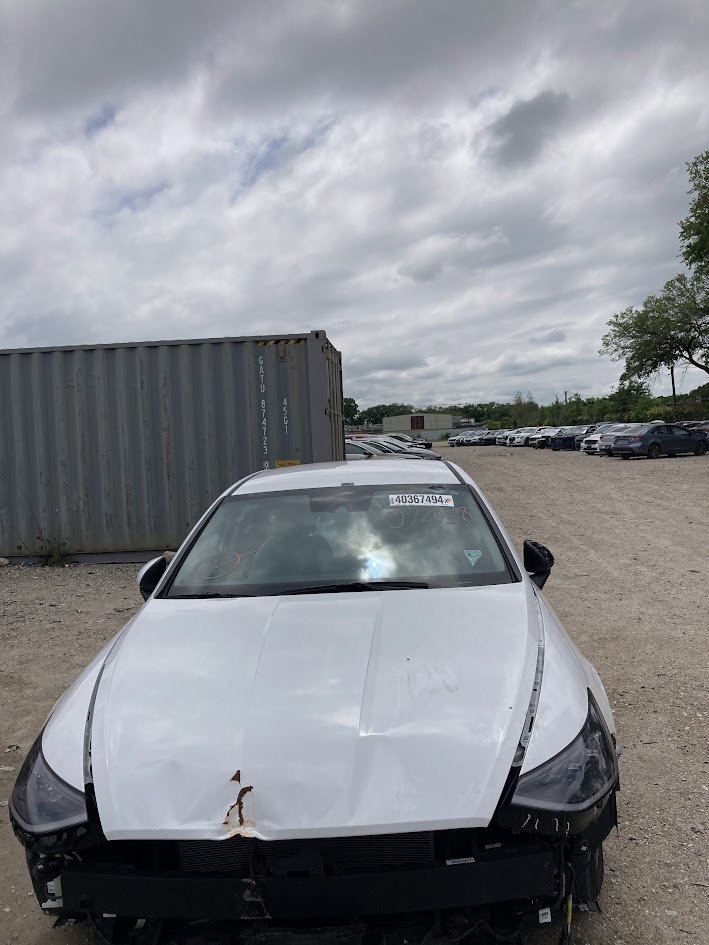 40367494
