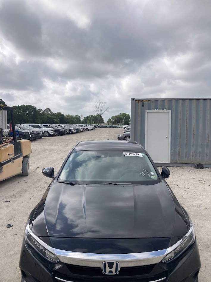 41499274