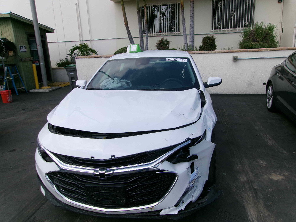 79674903