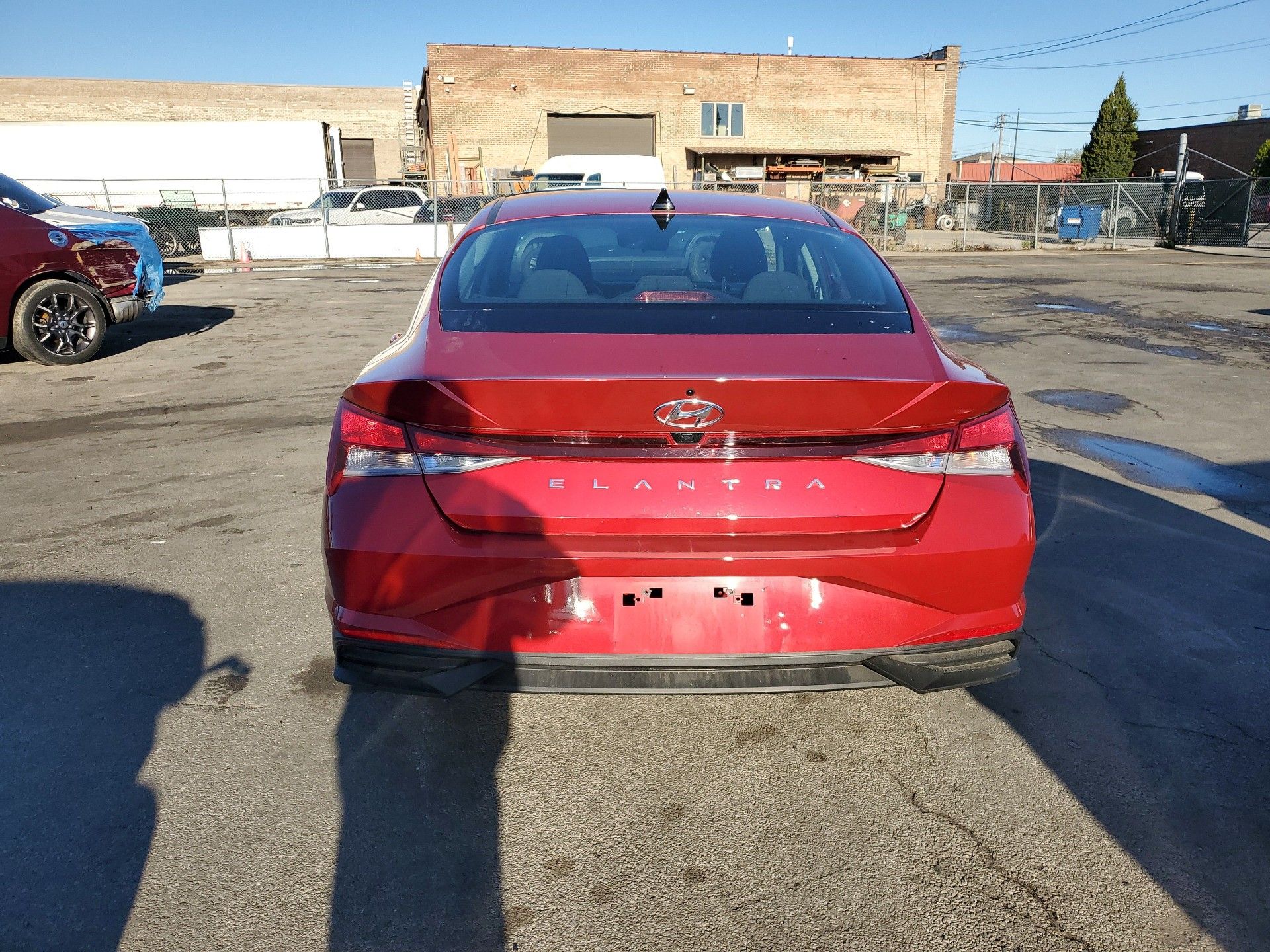 42891024