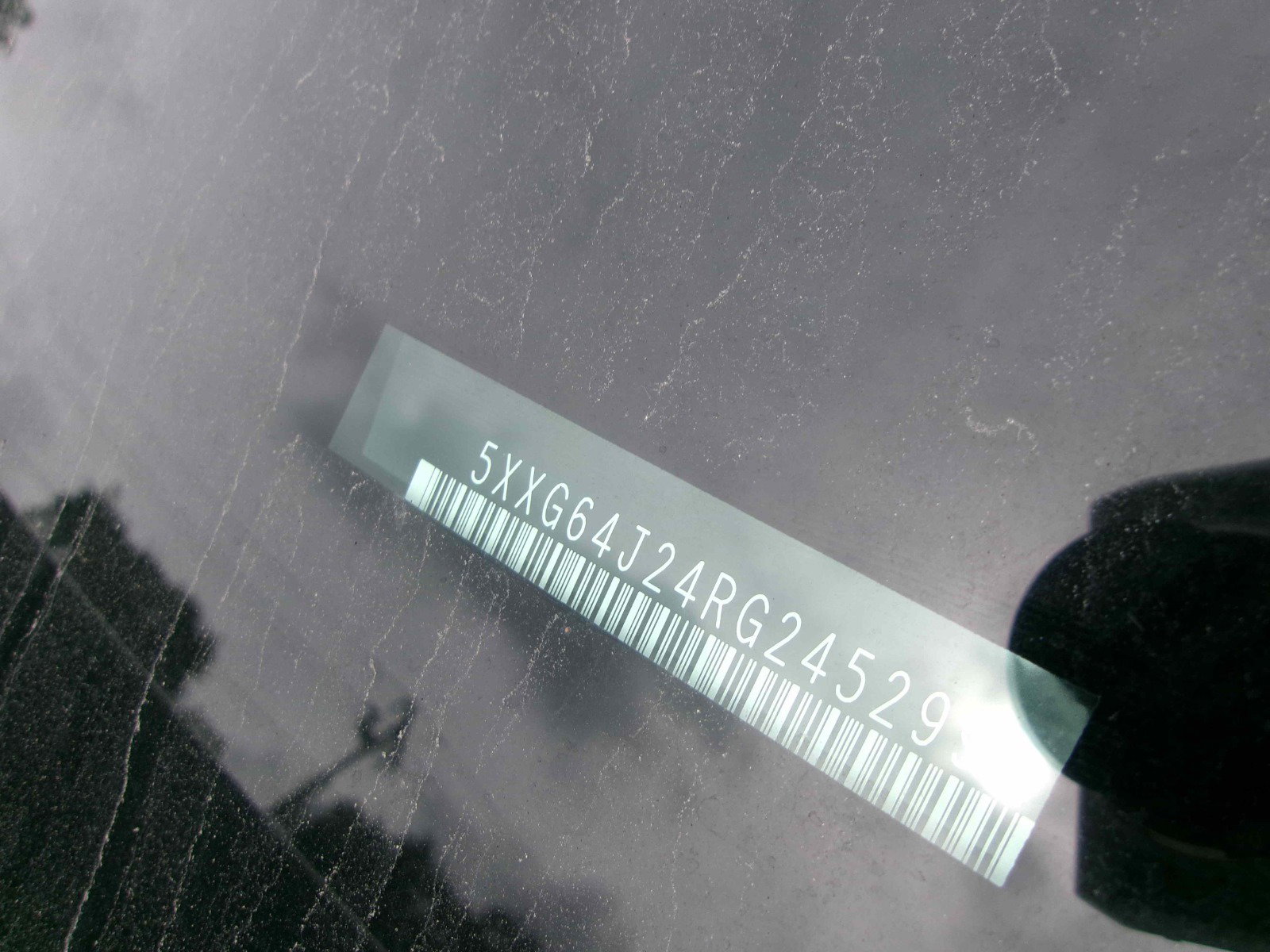 82391603