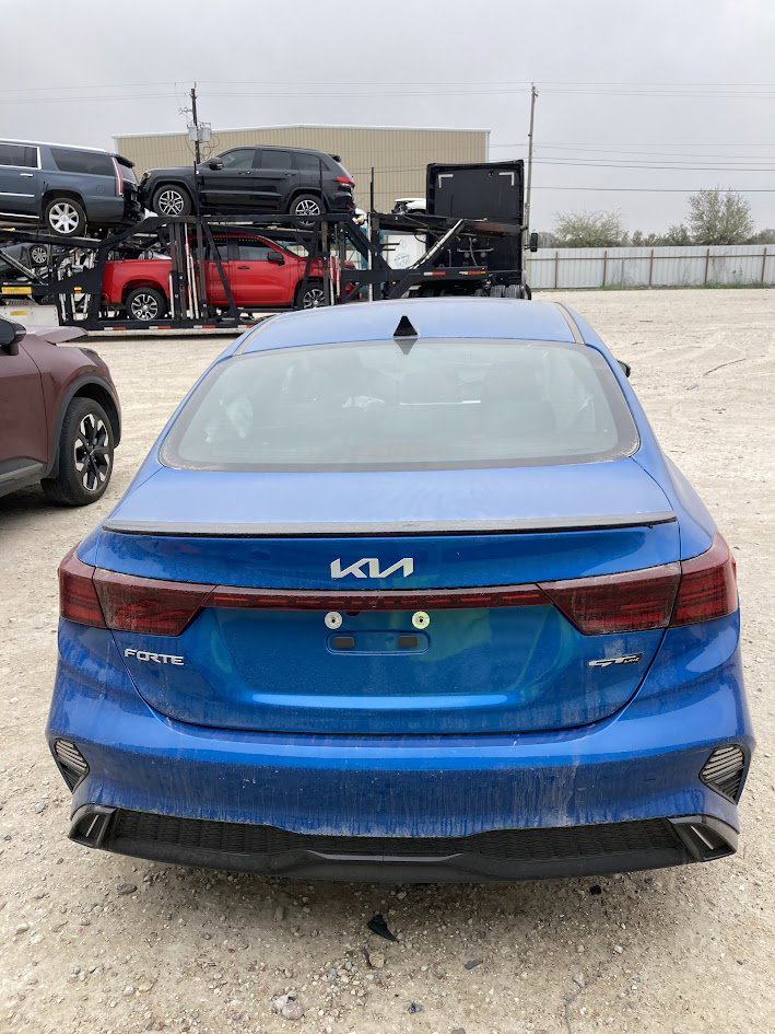 37293702