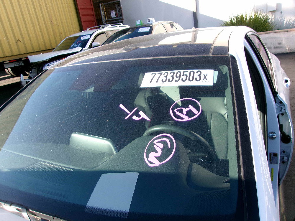 77339503