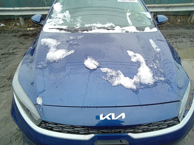 79841643