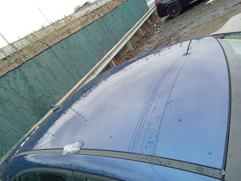 79841643
