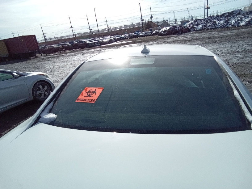 81415563