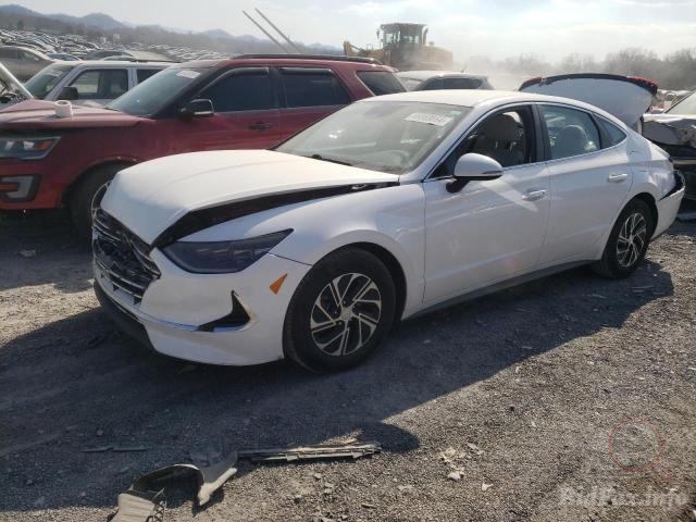 Hyundai Sonata Hybrid 2023 White 2.0L 4