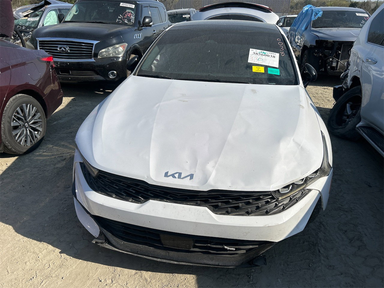 38560038