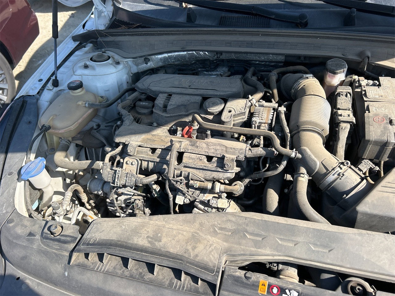 38560038