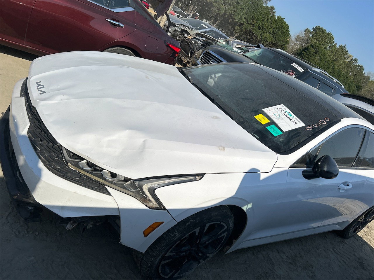 38560038