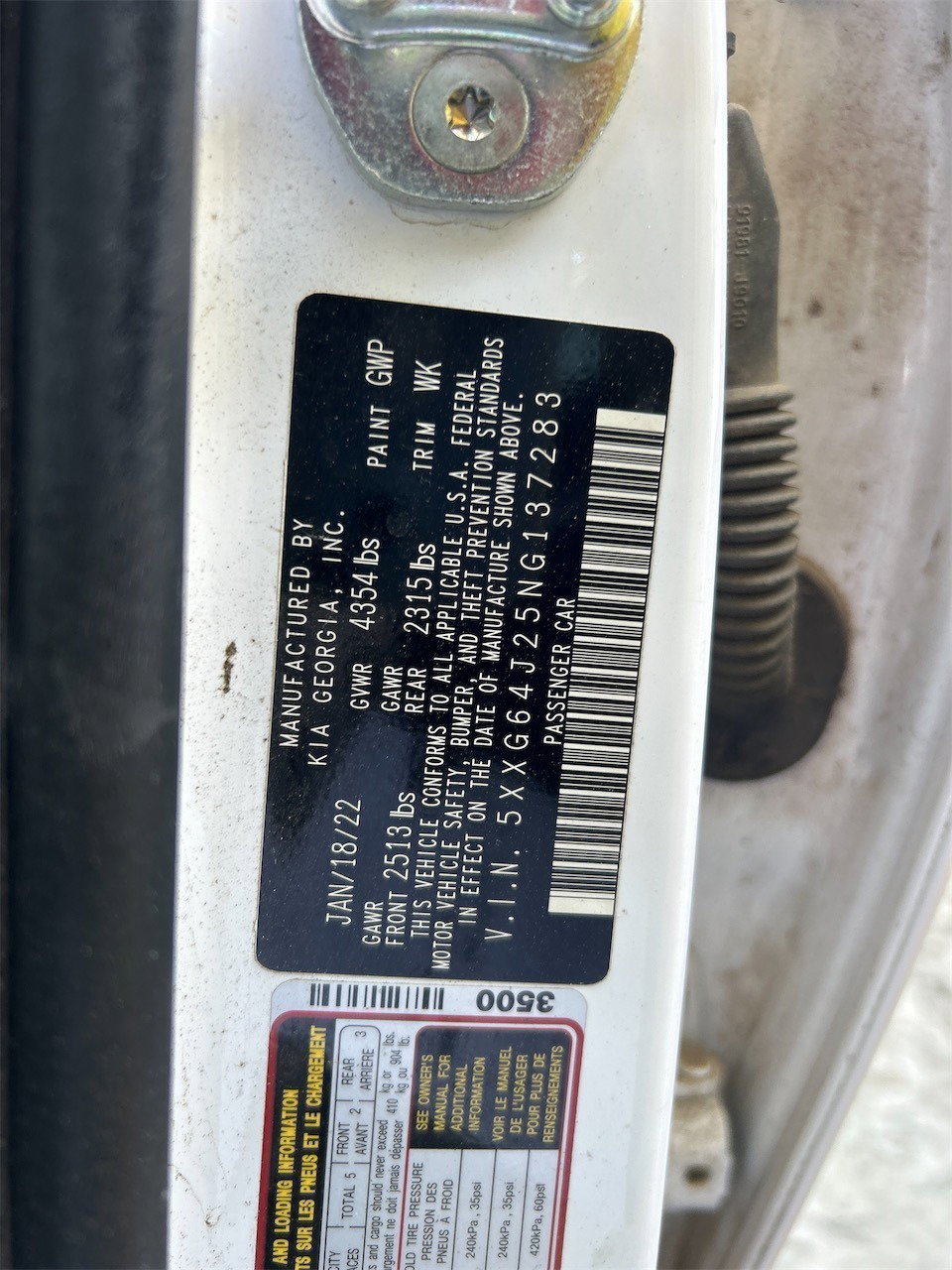 38560038