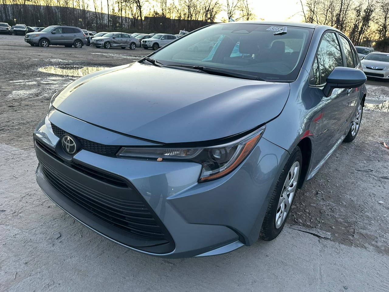 36941664