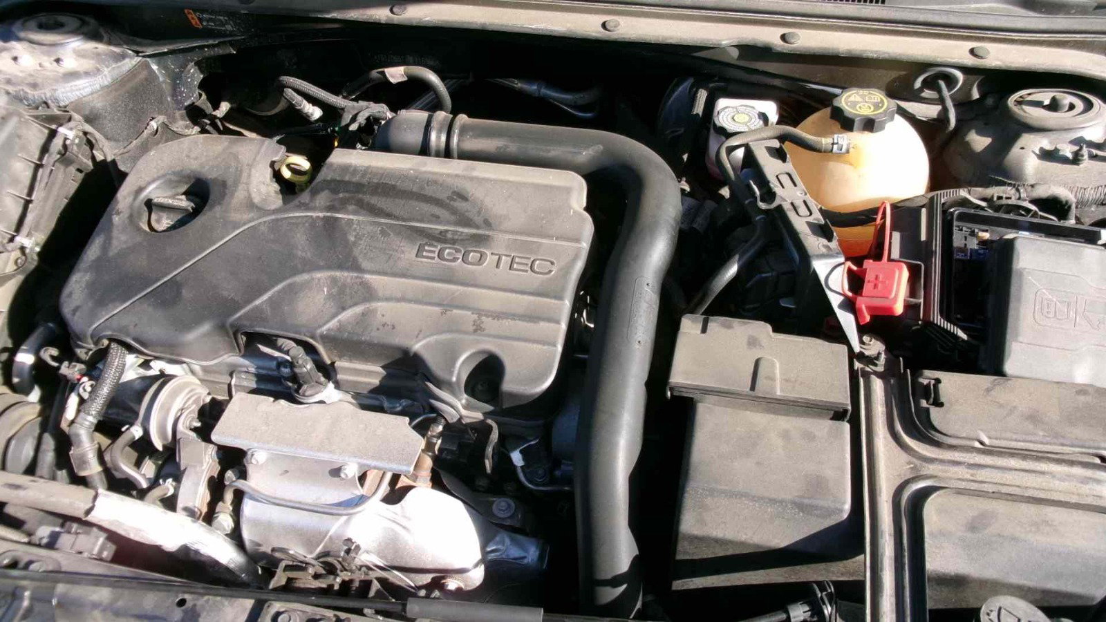 40938244