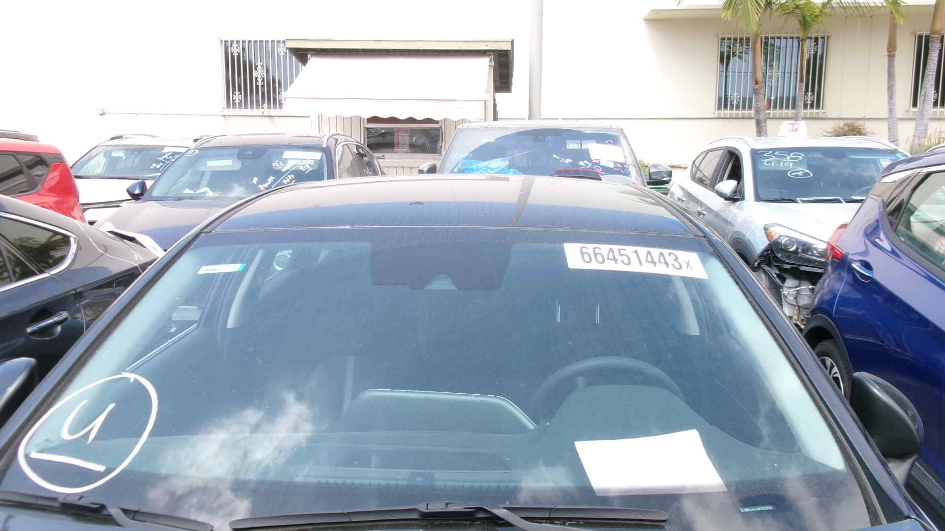 66451443