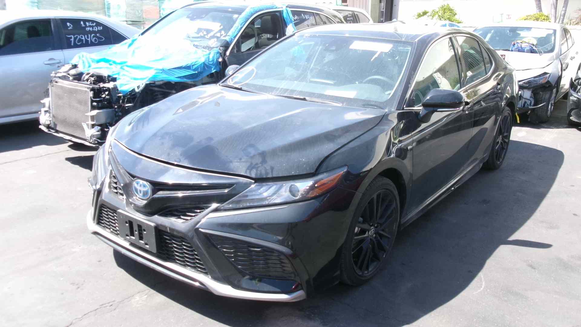 48163424