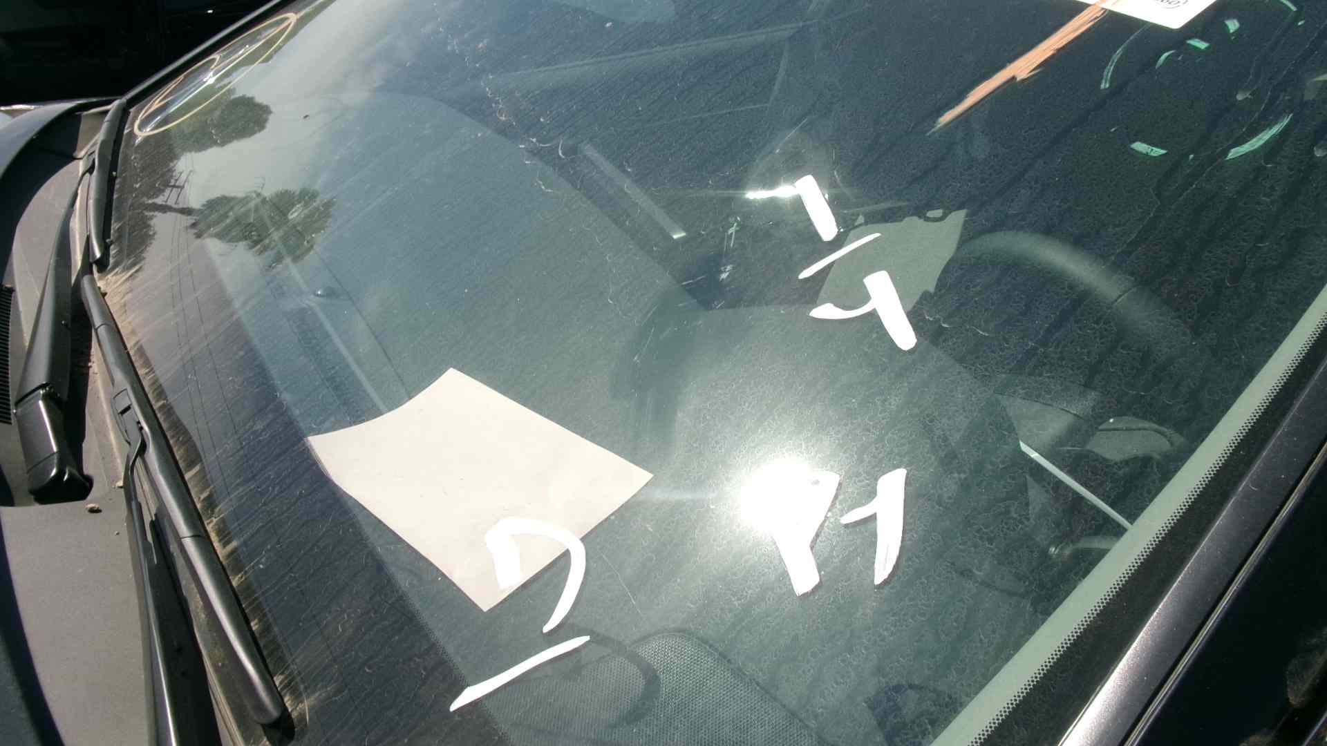 48163424