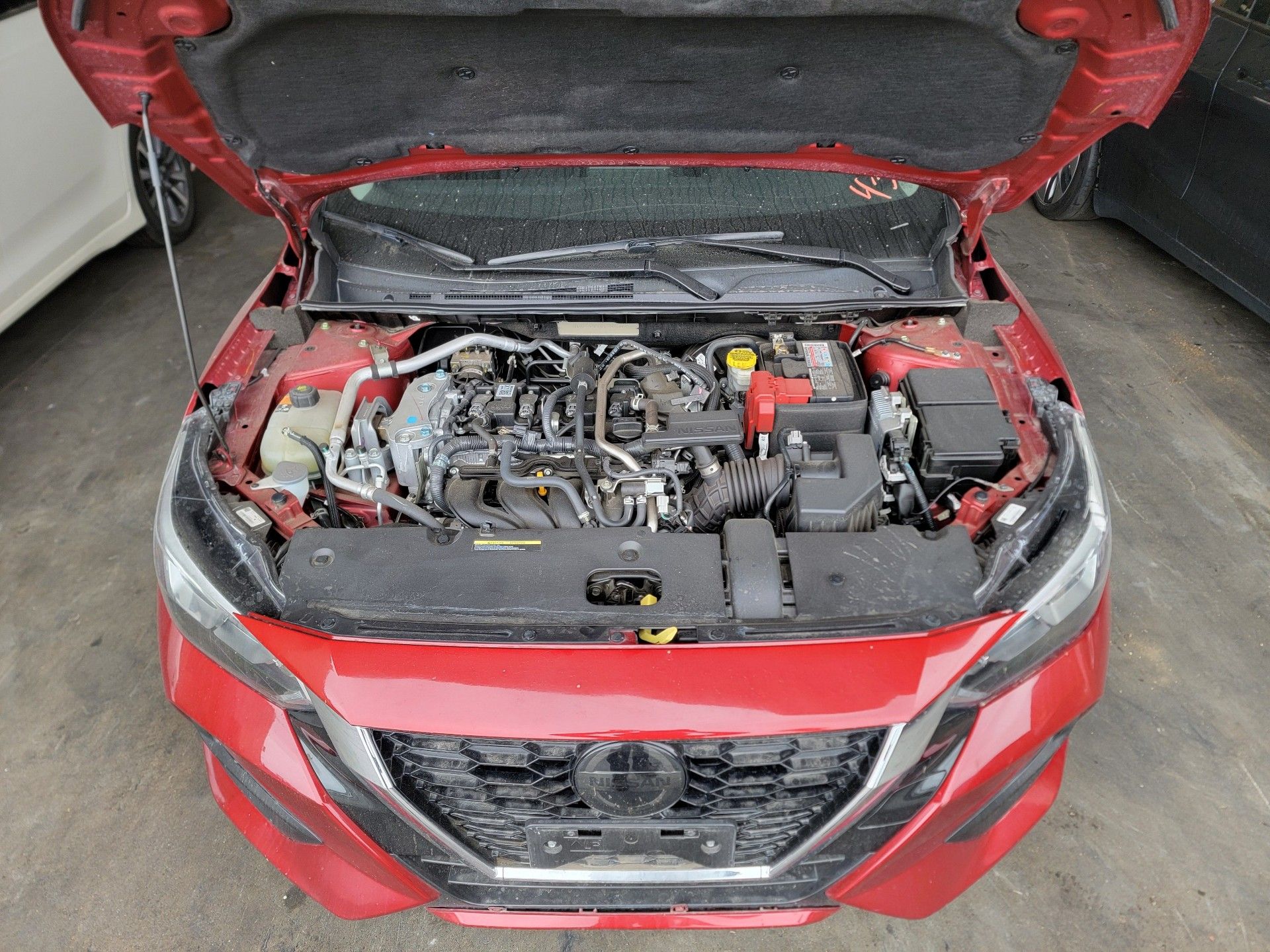 39145377