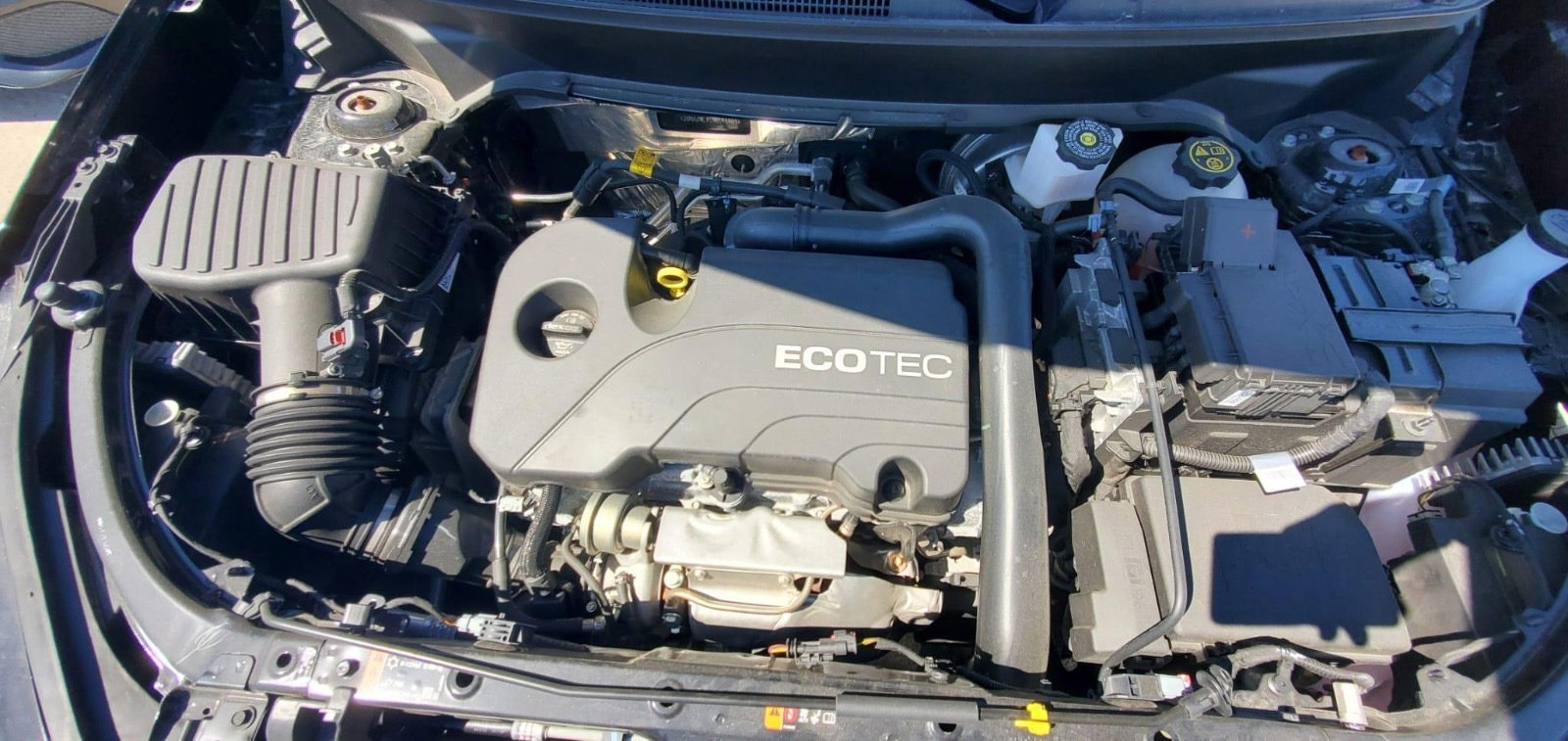 82441533