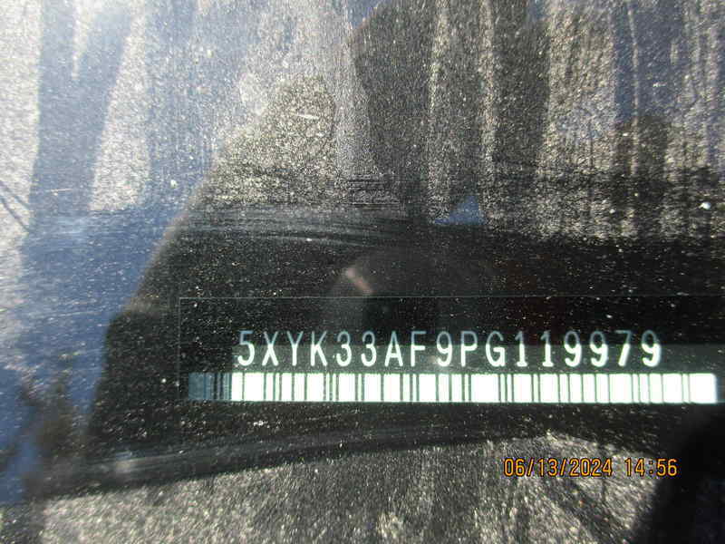 53917664