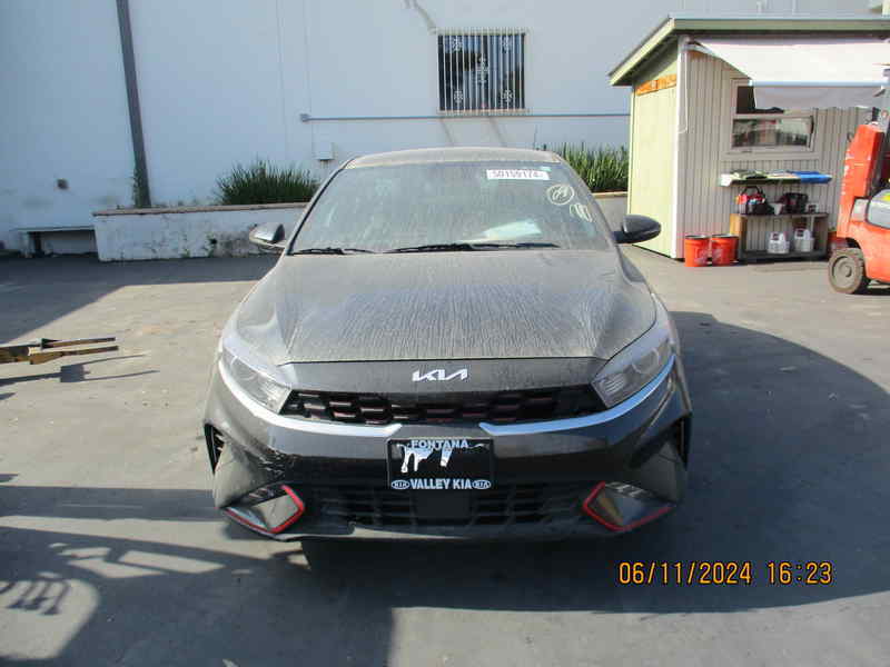 50159174
