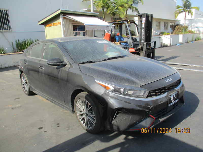 50159174