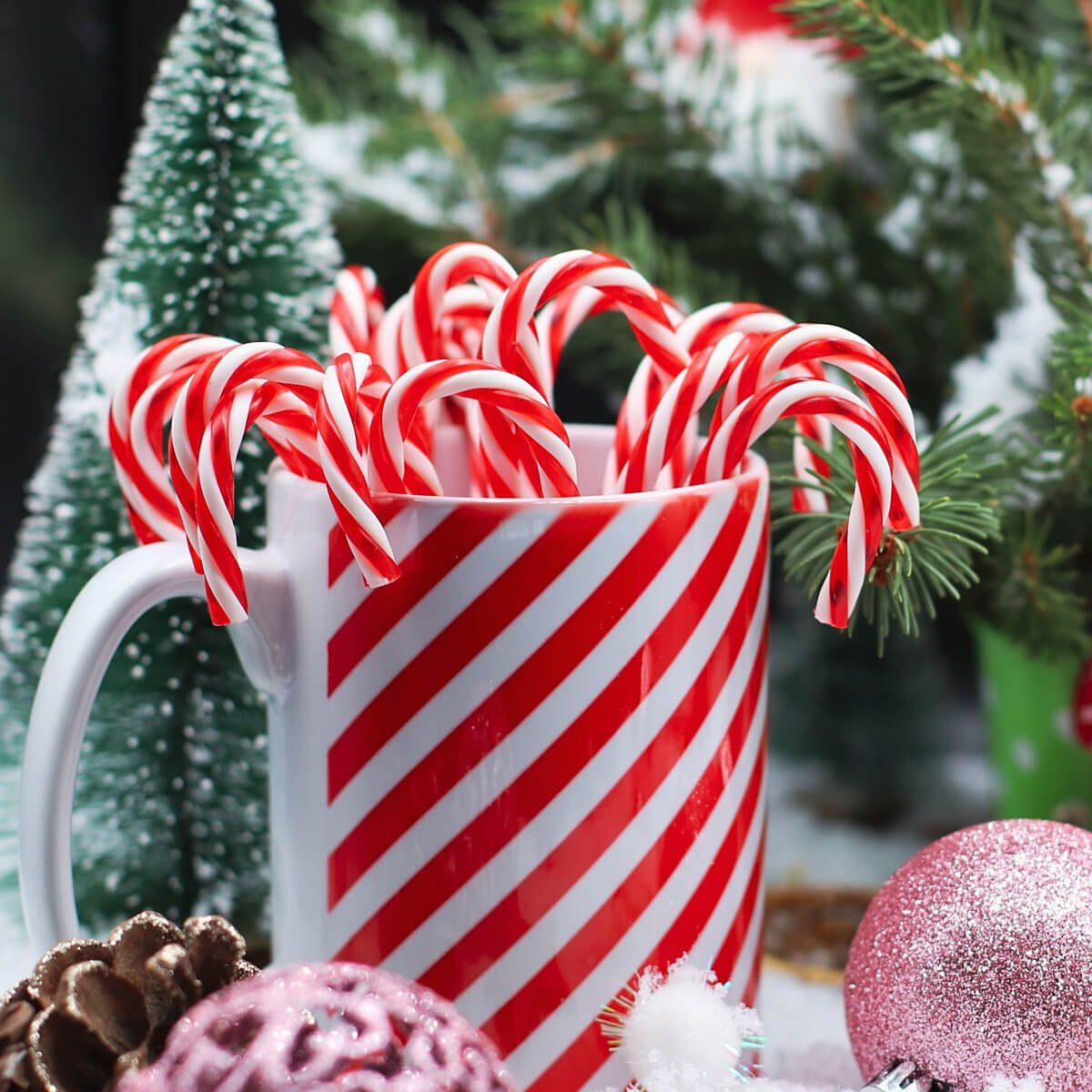 Red an white striped mug filled with striped candy canes of the same colour, with Christmas tree in background
