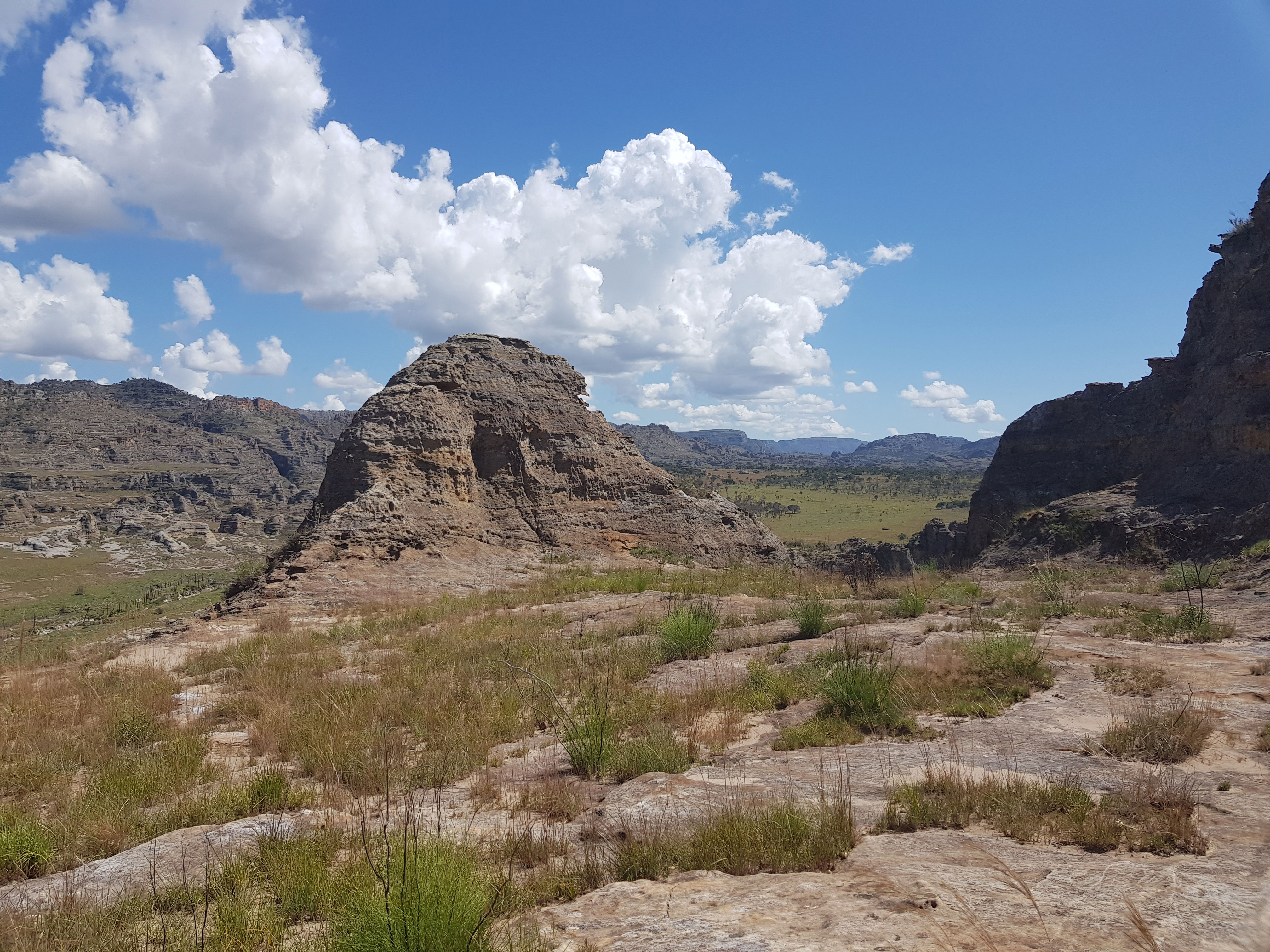 Landscapes