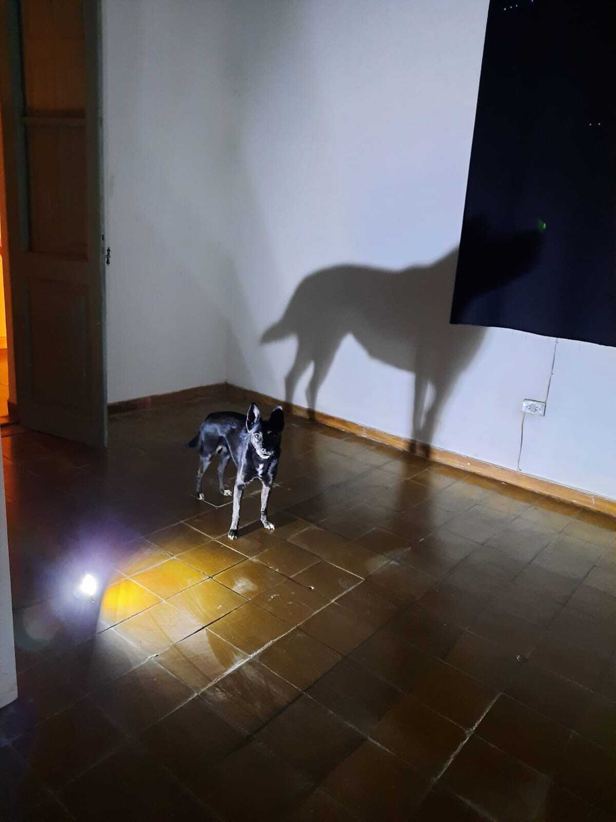 Possible Territory(s)