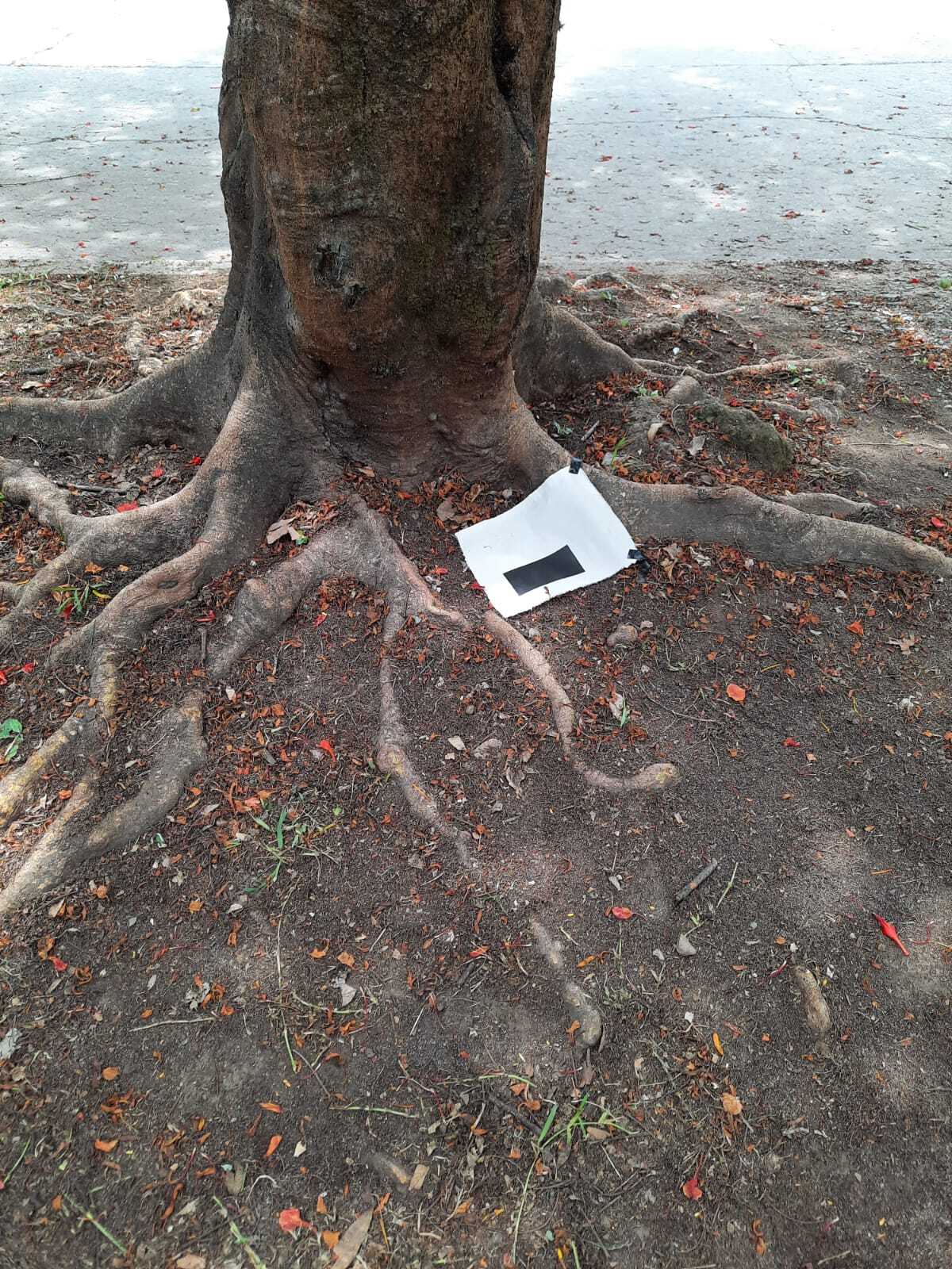 Possible Territory(s)