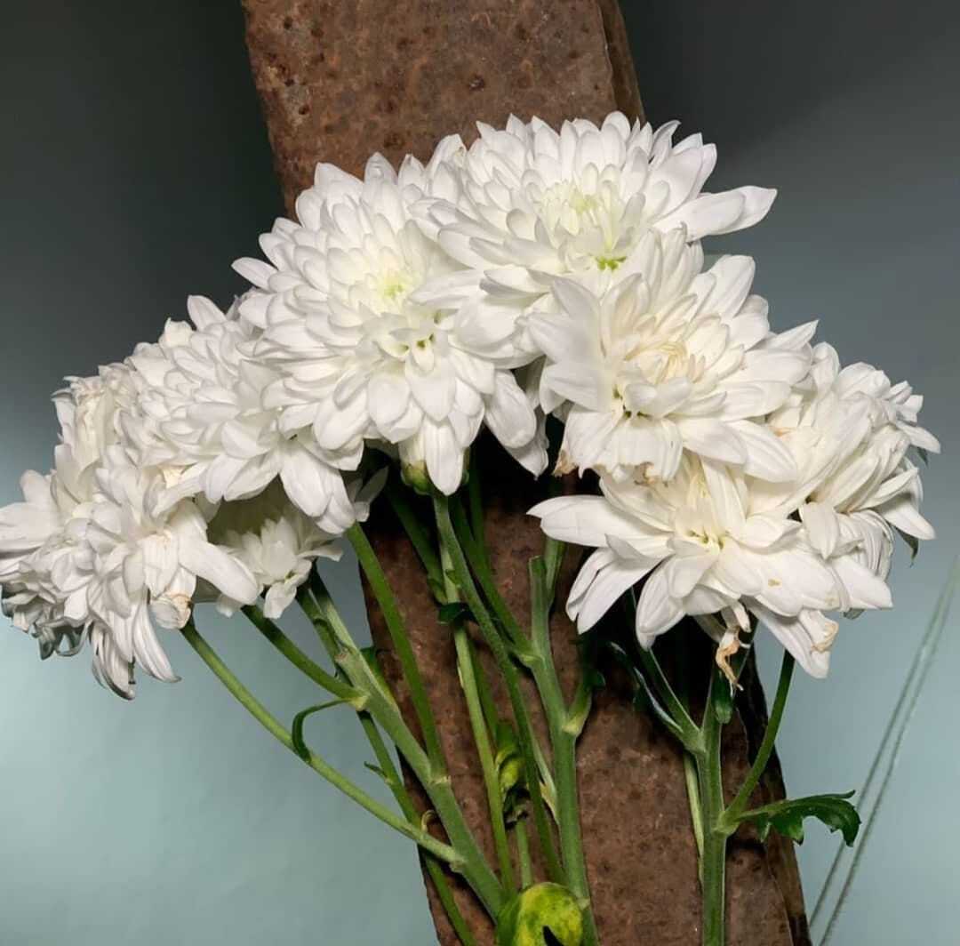 This is my newest and most powerful certainty.