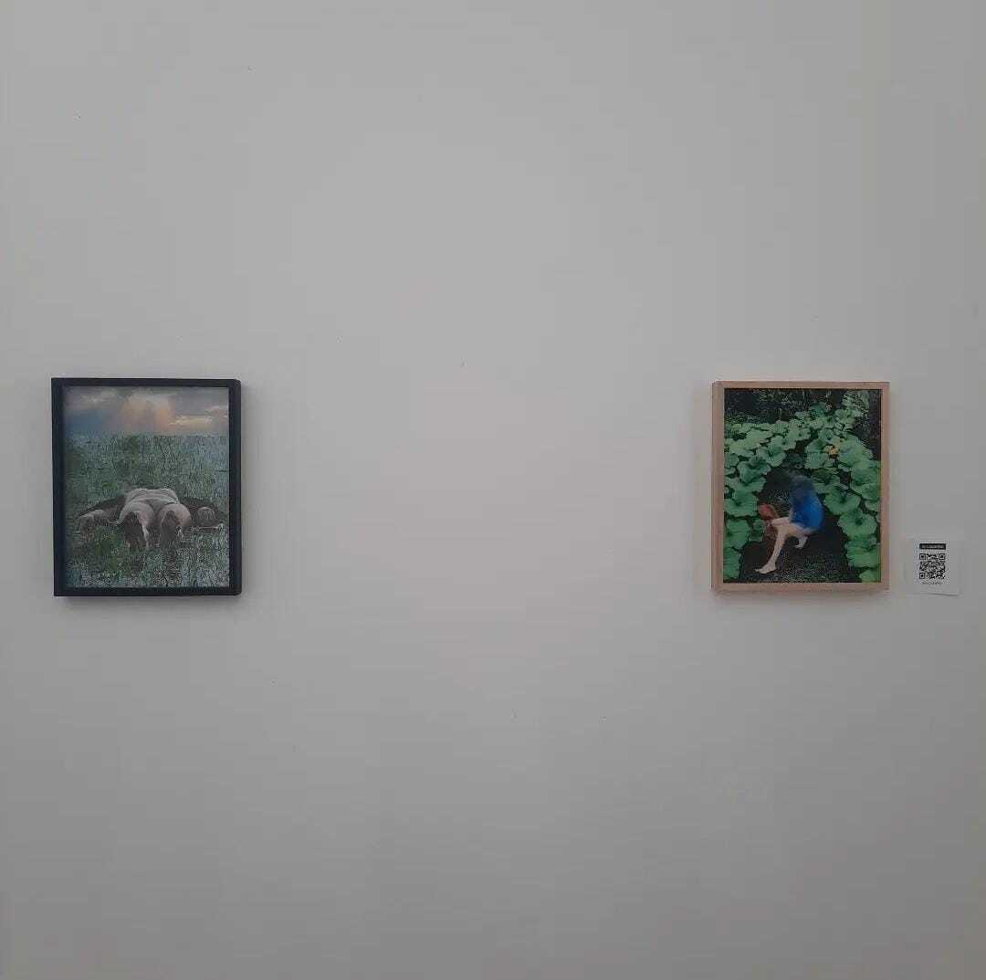 After the territory - COLLECTIVE