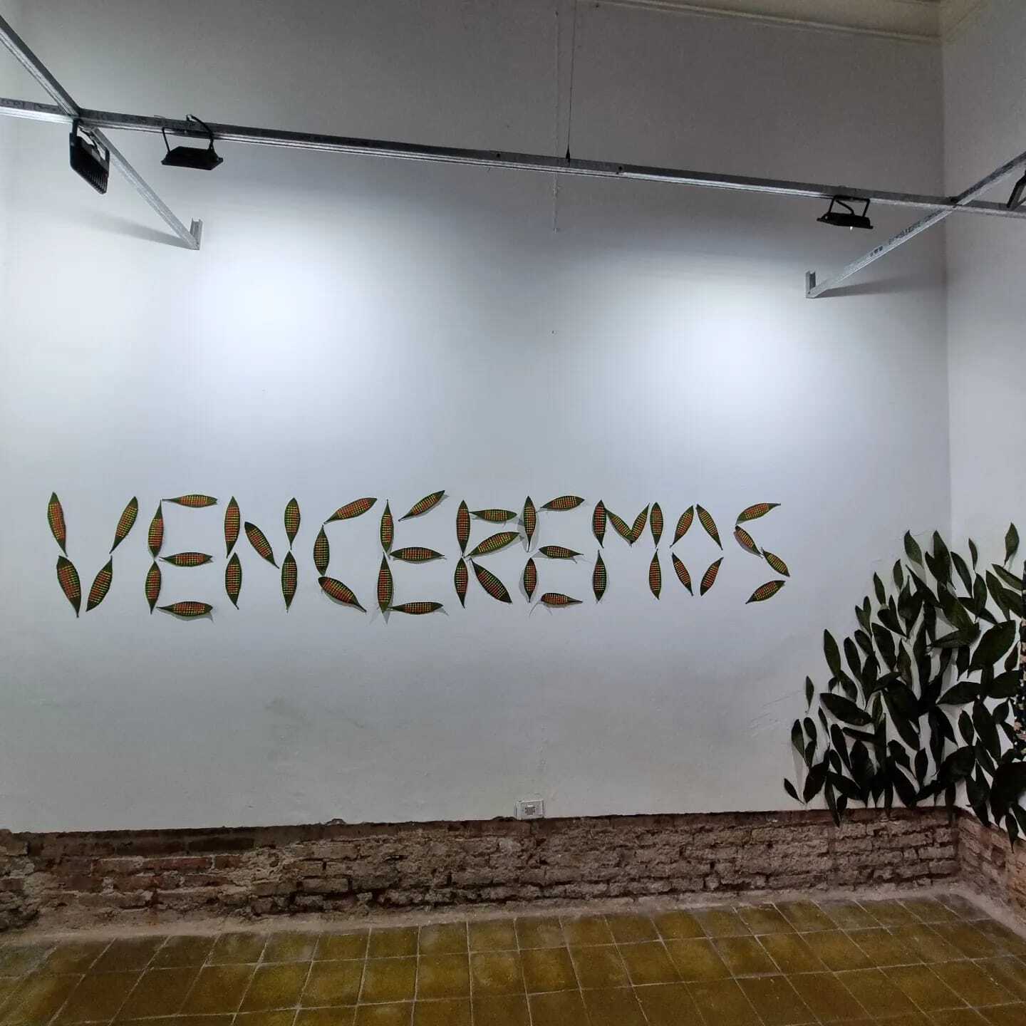 In loop, the body of the words.