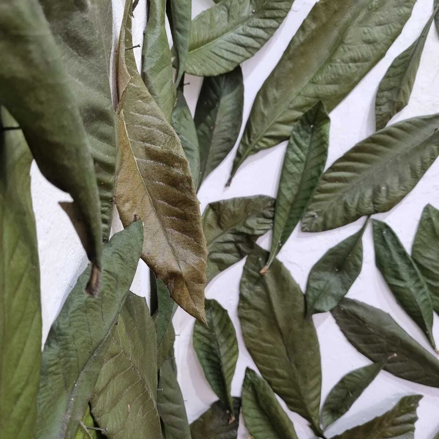 In loop, the body of the words.