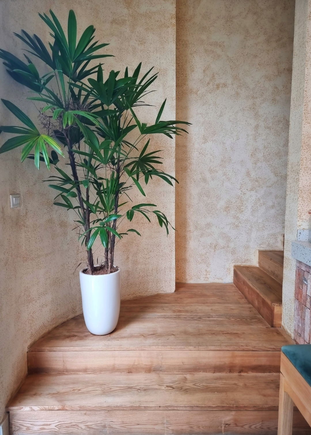 Thiết kế nội thất nhà hàng