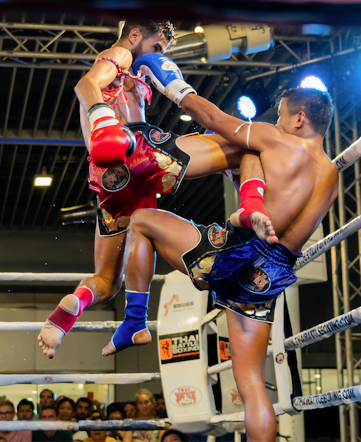Protège-tibias boxe Thaï RDX King - MMA - Sports de combat