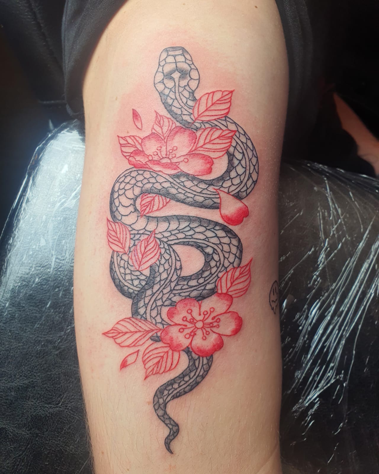 גלריית קעקועים