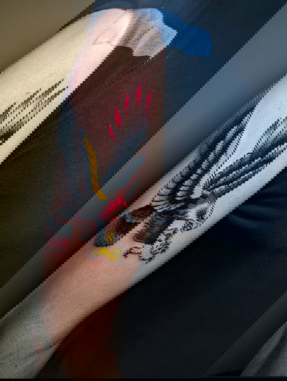 גלריית קעקועים