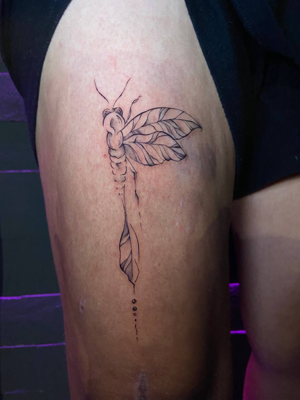 גלריית קעקועים