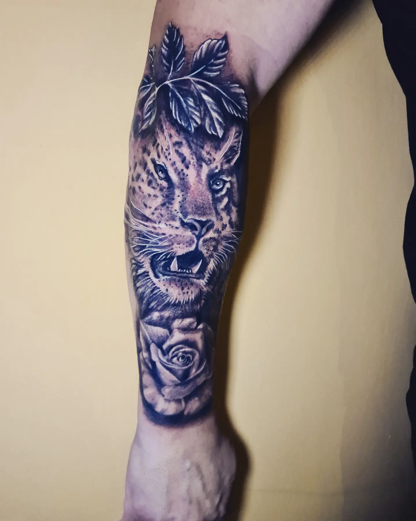 גלריית קעקועים