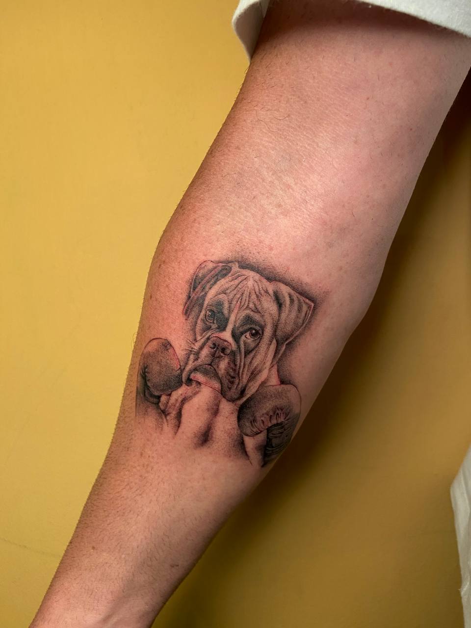 גלריית קעקועים