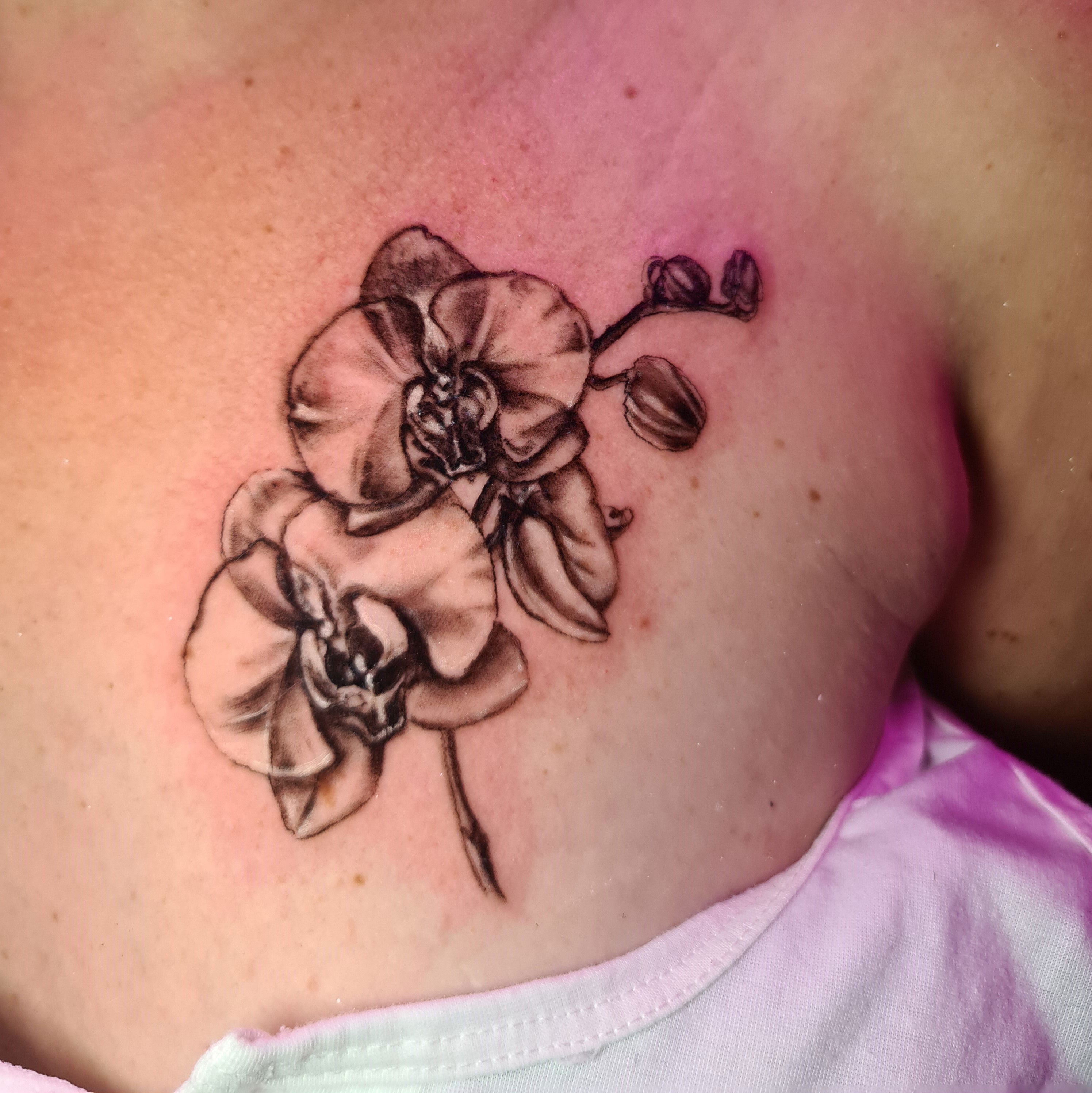 גלריית קעקועים