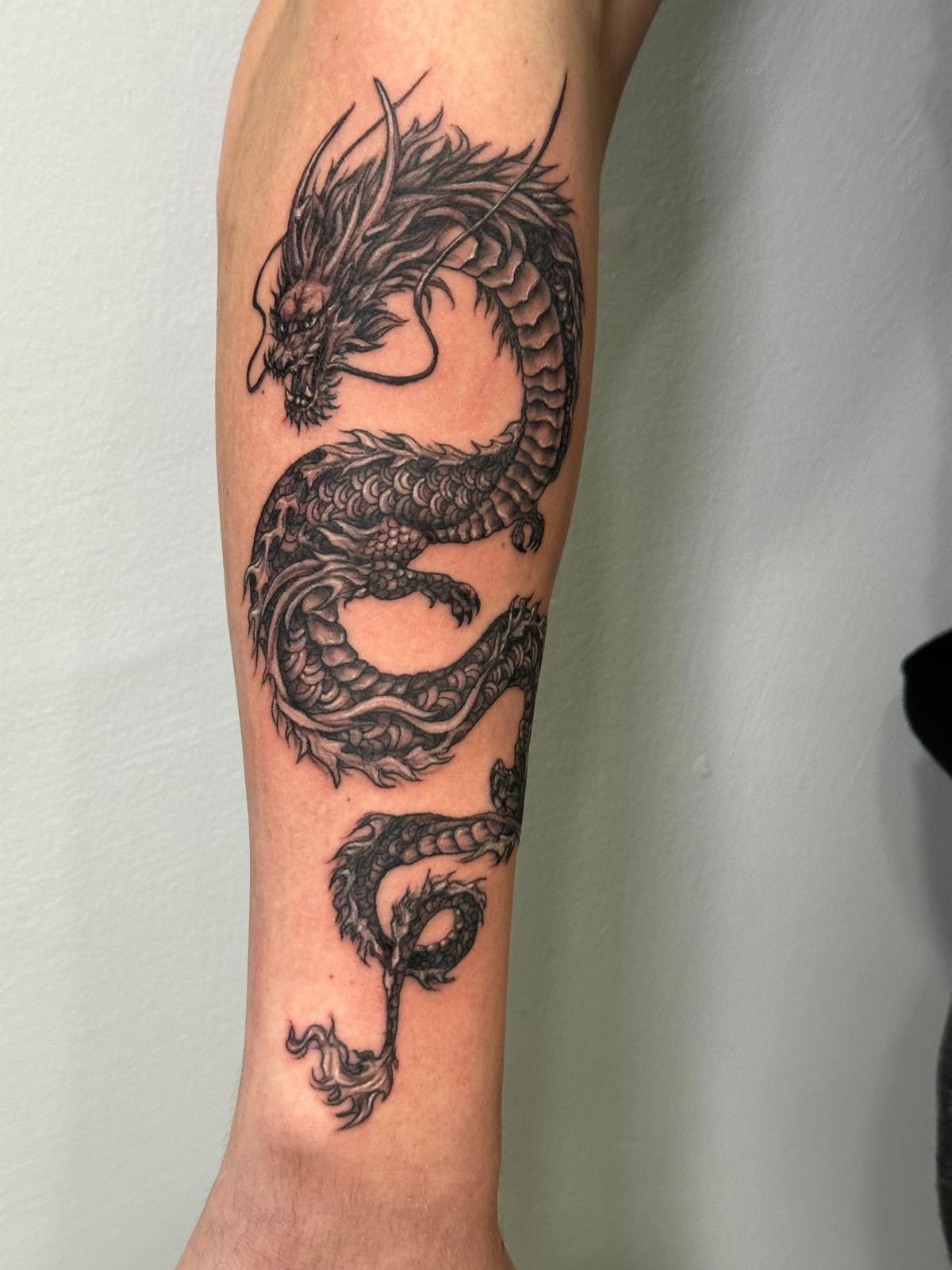 גלריית קעקועים