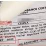 来自www.new998visa.com的“site:new998visa.com ECC”